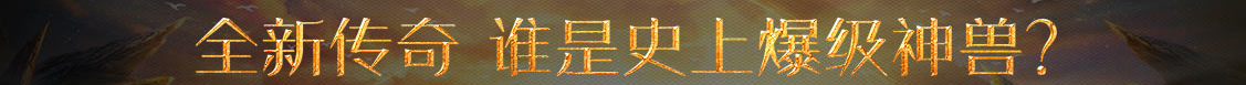 新野县娱乐网